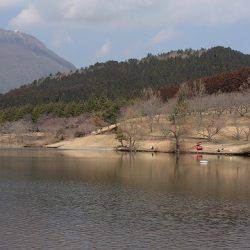 志高湖フィッシング 釣果