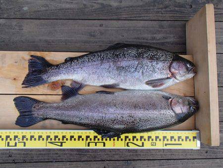 志高湖フィッシング 釣果