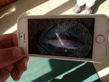 志高湖フィッシング 釣果