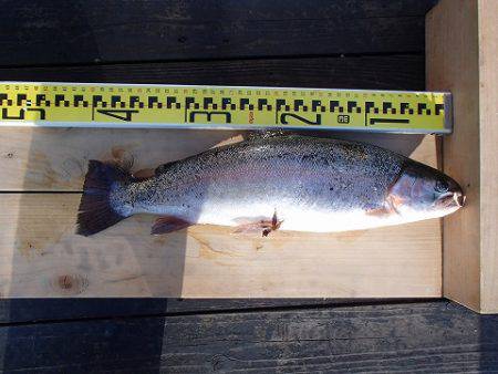 志高湖フィッシング 釣果