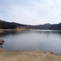 志高湖フィッシング 釣果