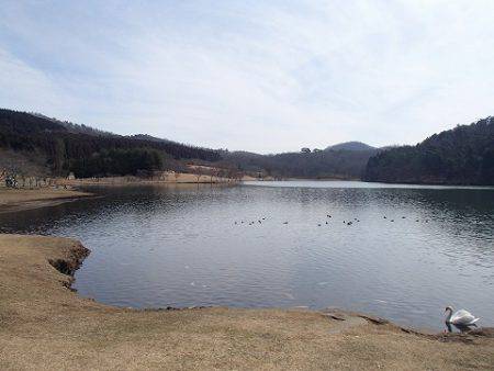 志高湖フィッシング 釣果