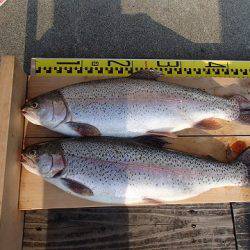 志高湖フィッシング 釣果