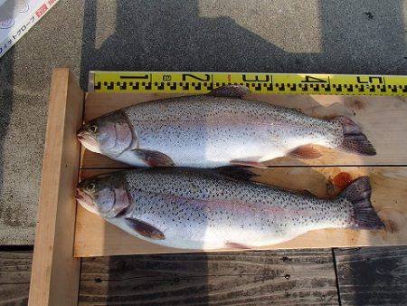 志高湖フィッシング 釣果