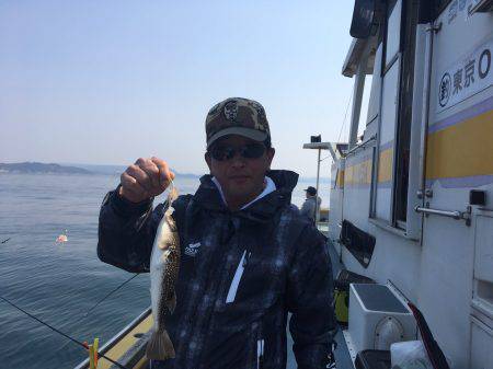 えさ政釣船店 釣果