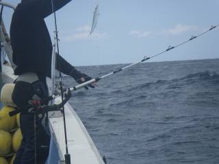 ことぶき丸 釣果