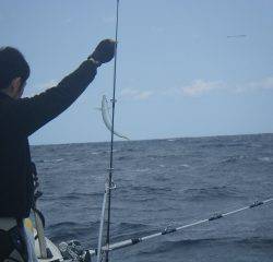 ことぶき丸 釣果