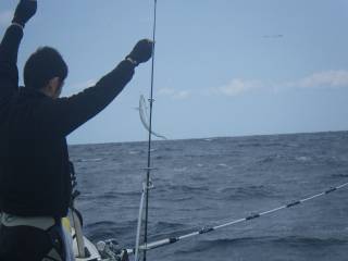 ことぶき丸 釣果