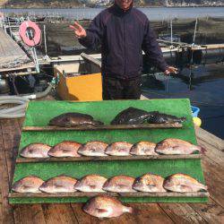 みうら海王 釣果