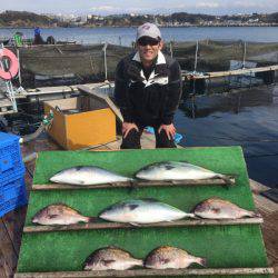 みうら海王 釣果