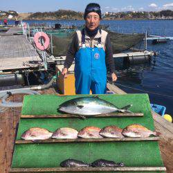 みうら海王 釣果