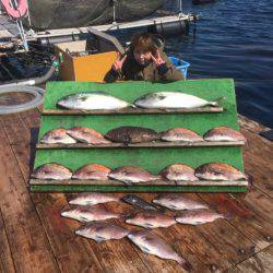 みうら海王 釣果