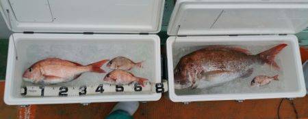 火遠理丸（ほおりまる） 釣果