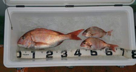 火遠理丸（ほおりまる） 釣果