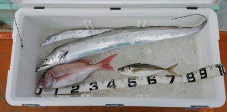 火遠理丸（ほおりまる） 釣果