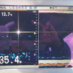 火遠理丸（ほおりまる） 釣果