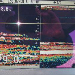 火遠理丸（ほおりまる） 釣果