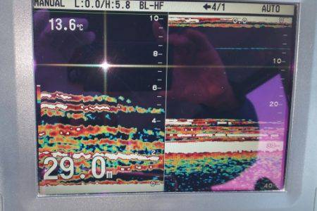 火遠理丸（ほおりまる） 釣果