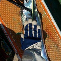 火遠理丸（ほおりまる） 釣果