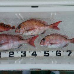 火遠理丸（ほおりまる） 釣果