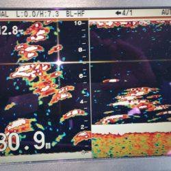 火遠理丸（ほおりまる） 釣果