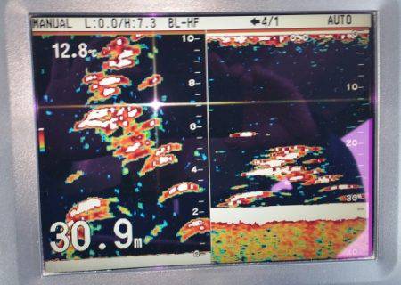 火遠理丸（ほおりまる） 釣果