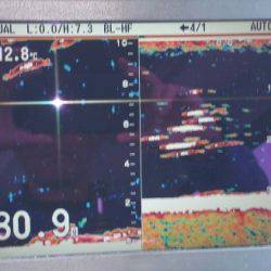 火遠理丸（ほおりまる） 釣果