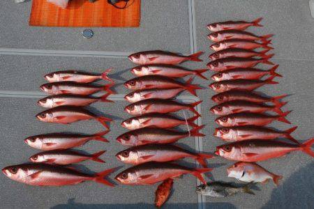 へいみつ丸 釣果