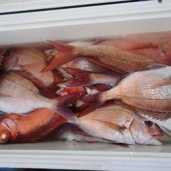 第二むつ漁丸 釣果