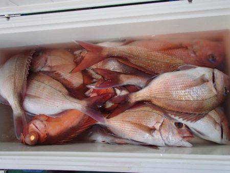 第二むつ漁丸 釣果