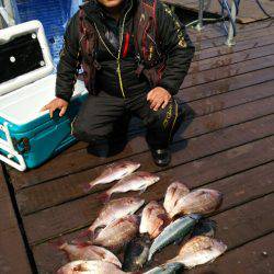 海上釣堀フィッシングレインボー 釣果