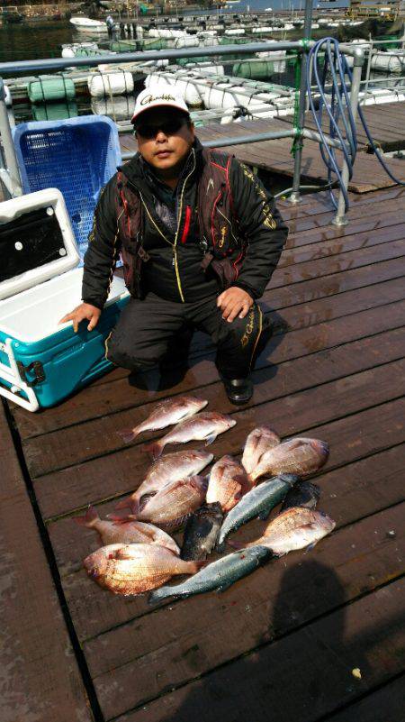 海上釣堀フィッシングレインボー 釣果