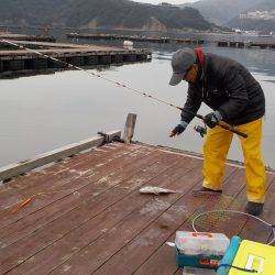 淡路じゃのひれフィッシングパーク 釣果