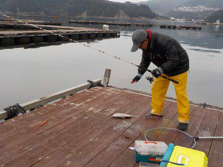 淡路じゃのひれフィッシングパーク 釣果
