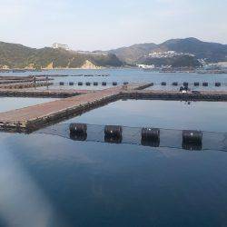 淡路じゃのひれフィッシングパーク 釣果