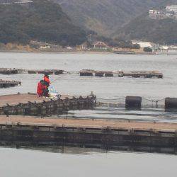 淡路じゃのひれフィッシングパーク 釣果