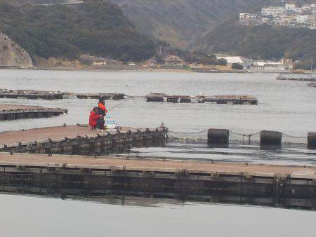 淡路じゃのひれフィッシングパーク 釣果