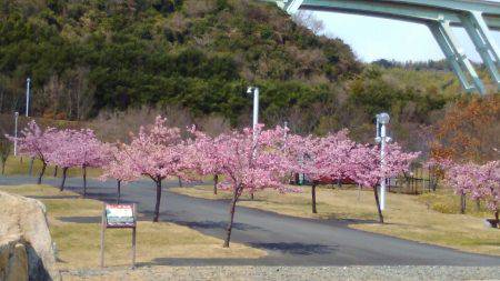 淡路じゃのひれフィッシングパーク 釣果