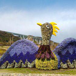 淡路じゃのひれフィッシングパーク 釣果