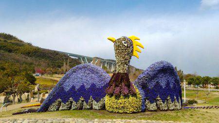 淡路じゃのひれフィッシングパーク 釣果