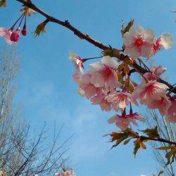 淡路じゃのひれフィッシングパーク 釣果