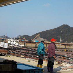 淡路じゃのひれフィッシングパーク 釣果