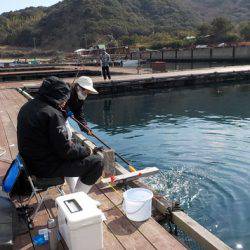 淡路じゃのひれフィッシングパーク 釣果