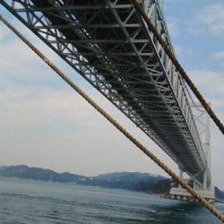 淡路じゃのひれフィッシングパーク 釣果