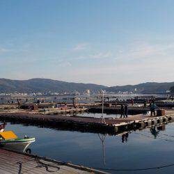 淡路じゃのひれフィッシングパーク 釣果