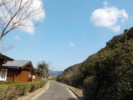 淡路じゃのひれフィッシングパーク 釣果