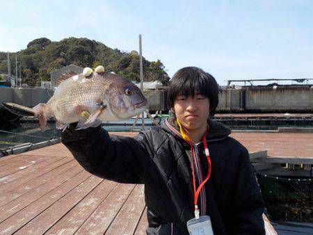 淡路じゃのひれフィッシングパーク 釣果