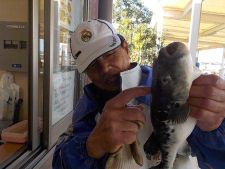 淡路じゃのひれフィッシングパーク 釣果