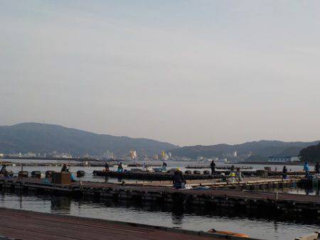 淡路じゃのひれフィッシングパーク 釣果