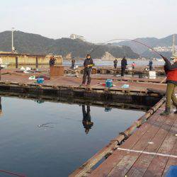 淡路じゃのひれフィッシングパーク 釣果